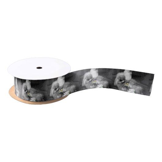 Schwarzweiss-Silkie Hühner mit gelben Küken Satinband (Spule)