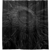 Schwarzweiss-Sonnenblume-Skizze-Entwurf Duschvorhang (Vorderseite)