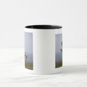 Schwarzweiss-SpringerSpaniel, der mit spielt Tasse (Zentrum)