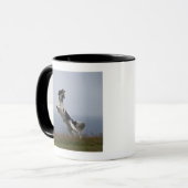 Schwarzweiss-SpringerSpaniel, der mit spielt Tasse (Vorderseite Links)