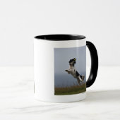 Schwarzweiss-SpringerSpaniel, der mit spielt Tasse (VorderseiteRechts)