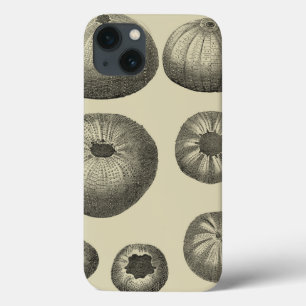 Schwarzweiss-Starfish Case-Mate iPhone Hülle