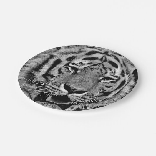Schwarzweiss-Tiger-Gesicht Pappteller (Schrägansicht)