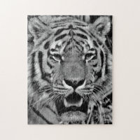 Schwarzweiss-Tiger-Gesicht