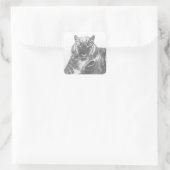 Schwarzweiß-Tiger Quadratischer Aufkleber (Tasche)