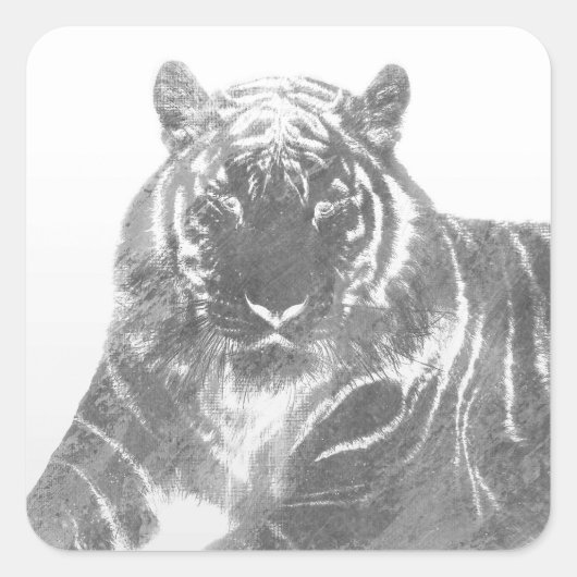 Schwarzweiß-Tiger Quadratischer Aufkleber (Vorderseite)