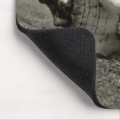 Schwarzweiss-Tritonshorn-Muschel Mousepad (Ecke)