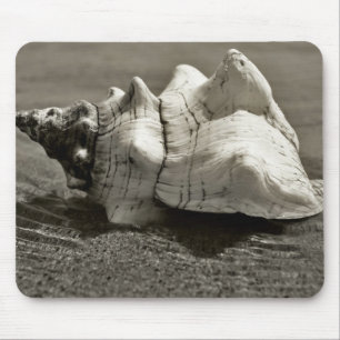 Schwarzweiss-Tritonshorn-Muschel Mousepad