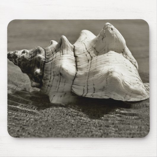 Schwarzweiss-Tritonshorn-Muschel Mousepad (Vorne)