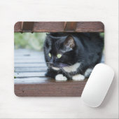 Schwarzweiß-Tuxedo-Foto Mousepad (Mit Mouse)