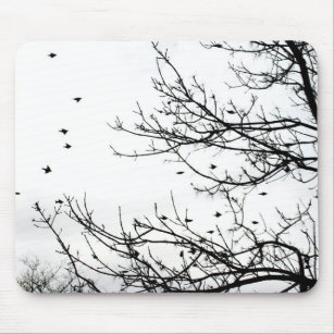 Schwarzweiss-Vögel, die weg von den Bäumen Mousepad