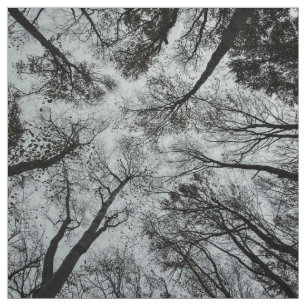 Schwarzweiss-Walddecke Stoff