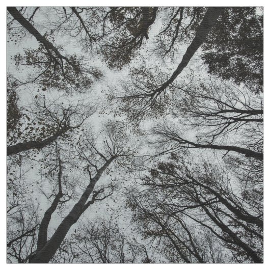 Schwarzweiss-Walddecke Stoff (Muster)