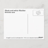 Schwarzweiß-Warbler Postkarte (Rückseite)