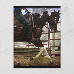 Schwarzweiß-Western Pinto Grunge Postkarte