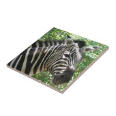 Schwarzweiss-Zebra-Fliese Fliese (Seite)