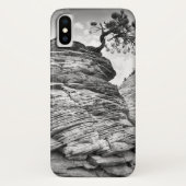 Schwarzweiss-Zion Kunst-Bonsais-Baum Case-Mate iPhone Hülle (Rückseite)