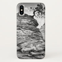 Schwarzweiss-Zion Kunst-Bonsais-Baum