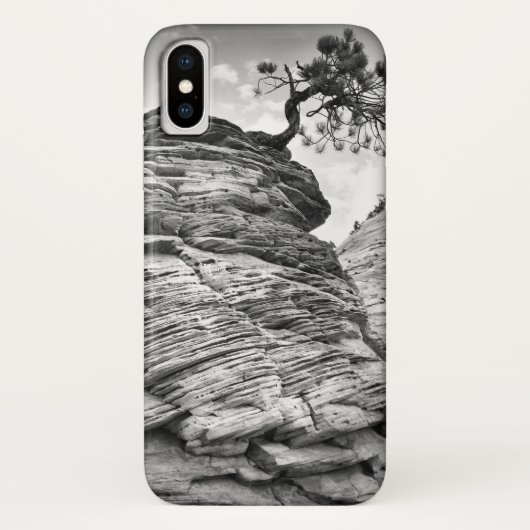 Schwarzweiss-Zion Kunst-Bonsais-Baum Case-Mate iPhone Hülle (Rückseite)