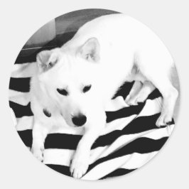 Schwarzweißaufkleber Runder Aufkleber