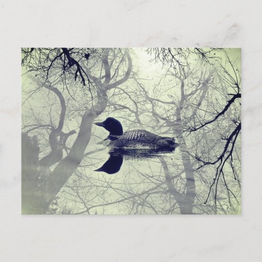 Schwarzweißballon auf der Postkarte des Sees (Vorderseite)