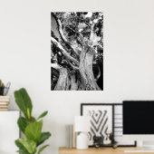 Schwarzweißbaum Poster (Heimbüro)