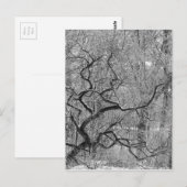 Schwarzweißbaum Postkarte (Vorne/Hinten)