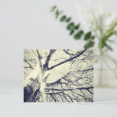 Schwarzweißbaum Postkarte (Stehend Vorderseite)