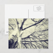 Schwarzweißbaum Postkarte (Vorne/Hinten)