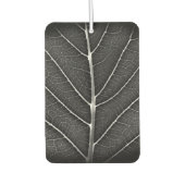 Schwarzweißblatt nah autolufterfrischer (Vorderseite)