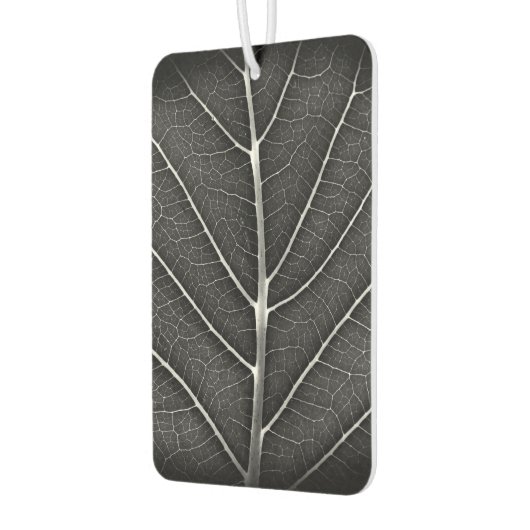 Schwarzweißblatt nah autolufterfrischer (Links)