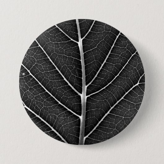 Schwarzweißblatt nah button (Vorderseite)