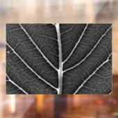 Schwarzweißblatt nah fensteraufkleber (Blatt 2)