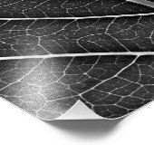 Schwarzweißblatt nah fotodruck (Ecke)