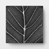 Schwarzweißblatt nah fotoplatte (Vorderseite)