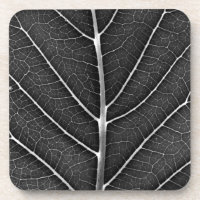 Schwarzweißblatt nah