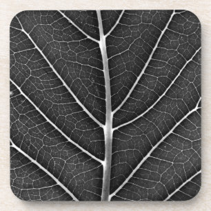 Schwarzweißblatt nah getränkeuntersetzer