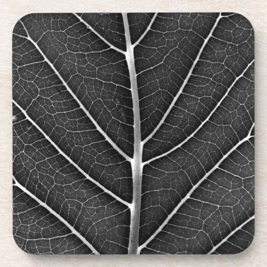 Schwarzweißblatt nah getränkeuntersetzer (Vorderseite)