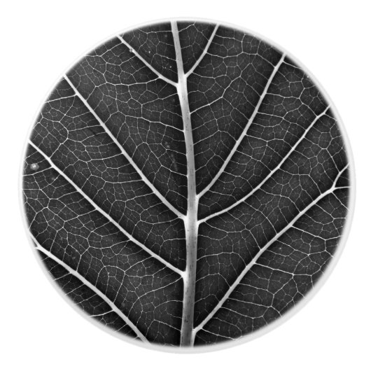 Schwarzweißblatt nah keramikknauf (Vorderseite)