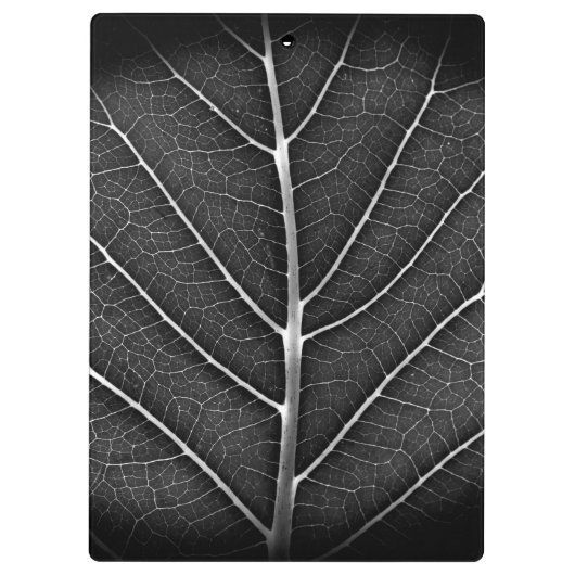 Schwarzweißblatt nah klemmbrett (Rückseite)