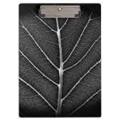 Schwarzweißblatt nah klemmbrett (Vorderseite)