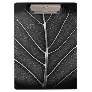 Schwarzweißblatt nah klemmbrett