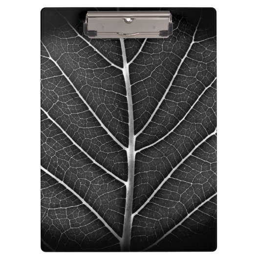 Schwarzweißblatt nah klemmbrett (Vorderseite)