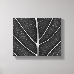 Schwarzweißblatt nah leinwanddruck