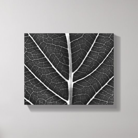 Schwarzweißblatt nah leinwanddruck (Vorderseite)