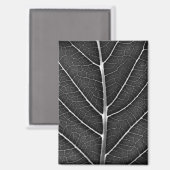 Schwarzweißblatt nah magnet (Vorderseite/Rückseite)