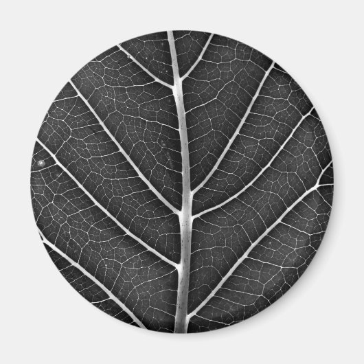 Schwarzweißblatt nah magnet (Vorne)