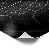 Schwarzweißblatt nah poster (Ecke)