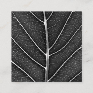 Schwarzweißblatt nah quadratische visitenkarte