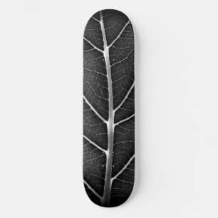 Schwarzweißblatt nah skateboard
